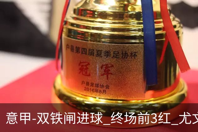 意甲-双铁闸进球 终场前3红 尤文2球落后2-2战平